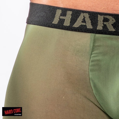 Sheer Backless Trunk