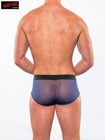 Sheer Brief
